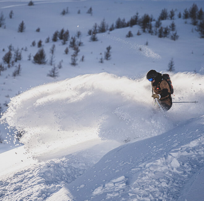 Skijoring